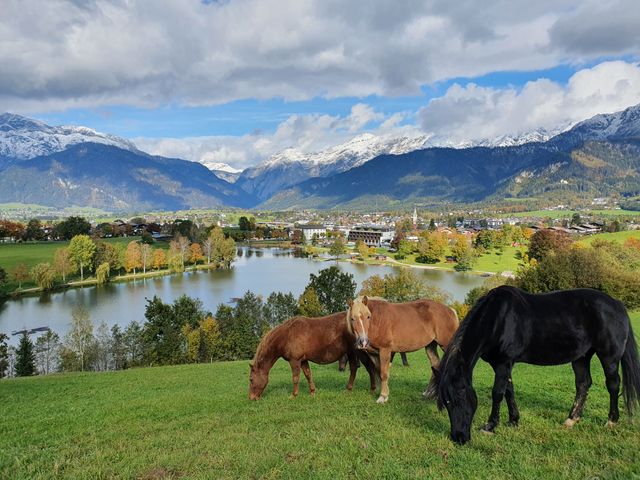 Sportchalet Viehhofen Ferienhaus